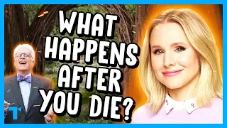 The Good Place, Ending Explained - What Happens After?