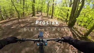 [BigFoot Works] Prosiak