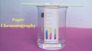 PAPER CHROMATOGRAPHY 📊 || Science Experiments ⚠ || Chemistry 💊