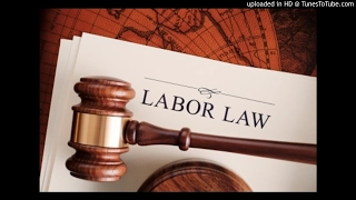 Labour law MRL3702 - CH1