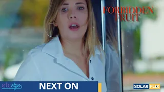 Sino ang kumidnap kay Yildiz? | Next on Forbidden Fruit Pinoy