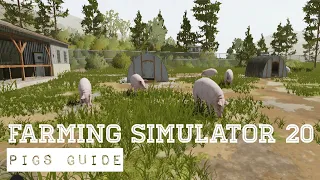 Farming Simulator 20 - Pigs Guide
