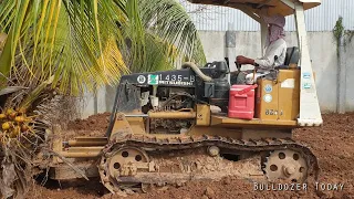 New Project Bulldozer Clears Land And Collapses Trees In The Village  , Multi truck actively working