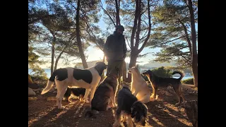 We love Monday at Lošinj island - morning walk, 26.02.2024.