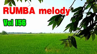 Rumba melody relaxing instrumental music vol 156, Soft music for relaxation and beautify your soul