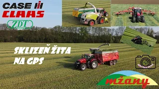 Senáže 2022 žito/ Claas jaguar 950/ 5x CaseIH tractors/ Fendt favorit 824/ZDT Mega 20 ZAS /Mžany
