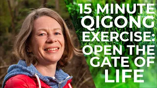 15 Minute Qigong Exercise To Open The Gate Of Life | Qigong for Beginners | Qigong for Seniors