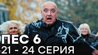 Сериал ПЕС 6 СЕЗОН - 21 - 24 серия - ВСЕ СЕРИИ ПОДРЯД | СЕРИАЛЫ ICTV