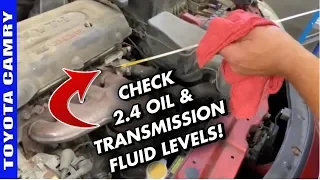2006-2011 Toyota Camry 2.4 Oil And Transmission Fluid Level Check