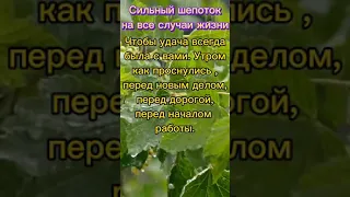 СИЛЬНЫЙ ШЕПОТОК НА ВСЕ СЛУЧАИ ЖИЗНИ#shorts #заговоры #обряды #обереги