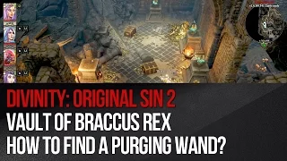 Divinity: Original Sin 2 - Vault of Braccus Rex