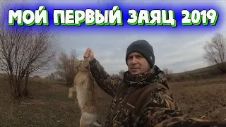 Охота на зайца 2019. СУПЕРОХОТА! Первый заяц в сезоне.Охота на утку.