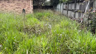 The Grass Slasher - overgrown yard makeover for FREE and outcome is satisfying