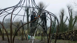 Building a willow hideaway