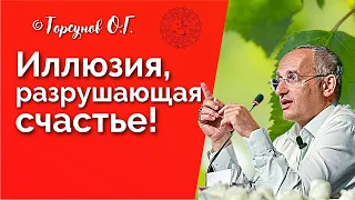 Иллюзия, разрушающая счастье! Торсунов лекции Смотрите без рекламы!