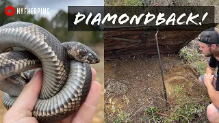 Eastern Diamondback Rattlesnake Under a Car Hood! Snake Hunting South Georgia and North Florida!