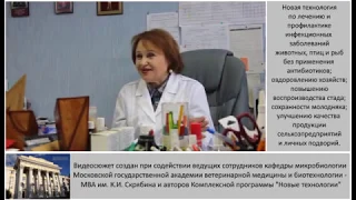 Что делать если не отделяется послед? Беседа специалистов.