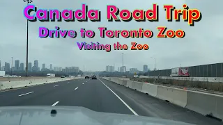 Canada Road Trip - Drive to Toronto Zoo , visiting the Zoo and drive back to Toronto