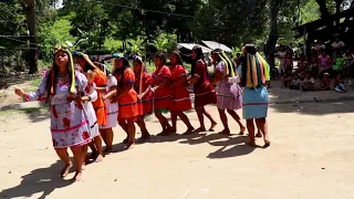 Celebración de los Pueblos Indígenas con la comunidad Emberá Katio💙🧡❤️
