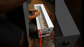 Mini Egg Washing Machine