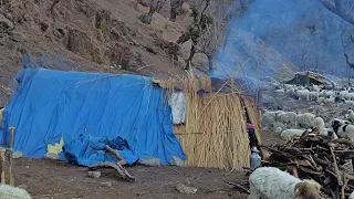 Himalayan Sheep Shepherd Life | Shepherd Food Cooking |Most Peaceful & Relaxing Shepherd Life |