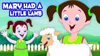 у Мэри был маленький ягненок | детский стишок | Mary Had A Little Lamb | Nursery Rhymes