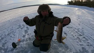 НОЧНАЯ РЫБАЛКА НА СЕВЕРЕ  / NIGHT FISHING IN THE NORTH