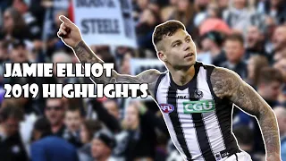 JAMIE ELLIOT 2019 HIGHLIGHTS