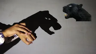 How to make a animal shadow with your hand || Tiger || Panther || Shadow Puppet