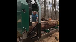 Nice Knotty Pine with blueing on the Sawmill - Log 3 #sawmill #wood