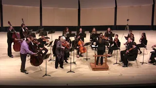 U of Iowa Chamber Orchestra: Dittersdorf, Sinfonia Concertante in D Major, IV. Allegro ma non troppo