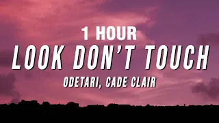 [1 HOUR] Odetari - LOOK DON’T TOUCH (Lyrics) ft. cade clair