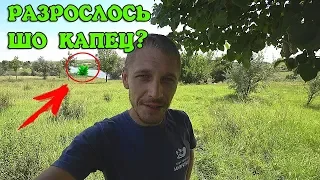 ВОТ ЭТО ЭКСПЕРИМЕНТ! АКВАРИУМНЫЕ РАСТЕНИЯ В ДИКОЙ ПРИРОДЕ!!!