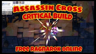 Guide to Build Assassin Cross Critical | Free Ragnarok Online