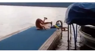 Funny Video Подборка Смешных Видео, Приколы № 11