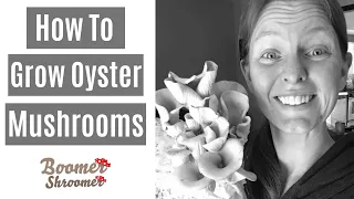 How to Grow Oyster Mushrooms in a Monotub