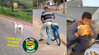 Os Vídeos + Engraçados do Whatsapp 2023! Tente Não Rir #11 - Whatsapp Memes Br