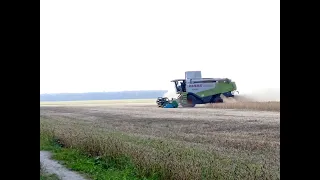 Жнива Сої 2023! Комбайн CLAAS LEXION 580