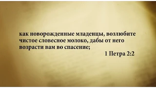 "3 минуты Библии. Стих дня" (29 июня 1Петра 2:2)