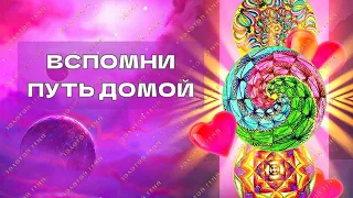 33 КОДА АКТИВАЦИИ ШИШКОВИДНОЙ ЖЕЛЕЗЫ