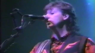 Paul McCartney Live At The Rosemount Horizon, Chicago IL, USA (Tuesday 5th December 1989)