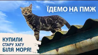 6 Ми нарешті переїхали!