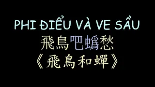 越南版翻唱 飛鳥和蟬 漢喃歌詞  | PHI ĐIỂU VÀ VE SẦU - Đan Trường | Chữ Nôm Hán Nôm Lyrics | 越南歌曲 漢喃 𡨸喃 喃字