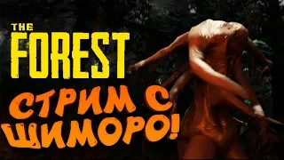 СТРИМ С ШИМОРО! - ПОБОЛТАЕМ? - The Forest ( ХАРДКОР )