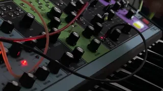 Moog Matriarch Patch "Boards of Canada" Style