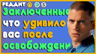 ЗАКЛЮЧЕННЫЕ 90х 2000х что УДИВИЛО ВАС в СОВРЕМЕННОМ мире после ОСВОБОЖДЕНИЯ Реддит Апвоут Тюлень