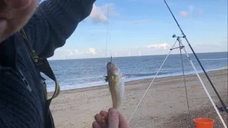 Another try on Caister beach for the low water at 21.30. Norfolk sea fishing