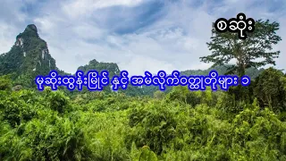 မုဆိုးထွန်းမြိုင် နှင့် အမဲလိုက်ဝတ္ထုတိုများ