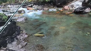 Fly Fishing the Ohanapecosh River in Mount Rainier National Park