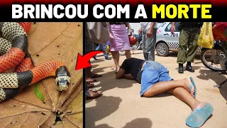 INACREDITAVEL foi brincar com COBRA coral e levou a pior, Veja só !! - animais selvagens